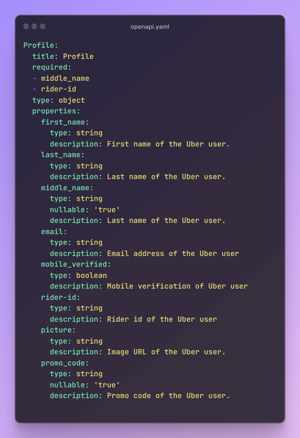 profile-schema-in-openapi